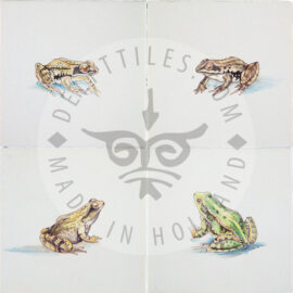 Frogs Amphibian Tile (HKI_mc)