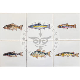 Fish Tiles Multi Color (VI2_mc)