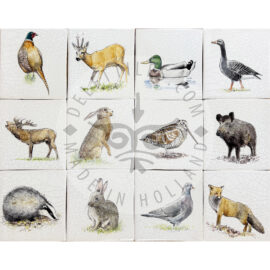 Wild Forest Animal Tiles Multi Color (HDW_mc)