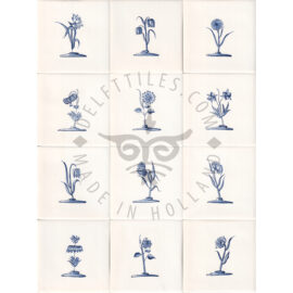 Flowers 3 Medium (BCm)