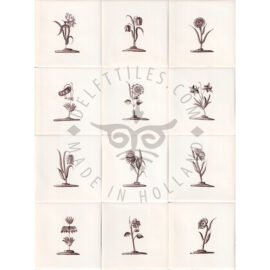 Flowers 3 Medium sepia (BCm_s)